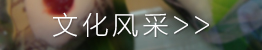 文化風采